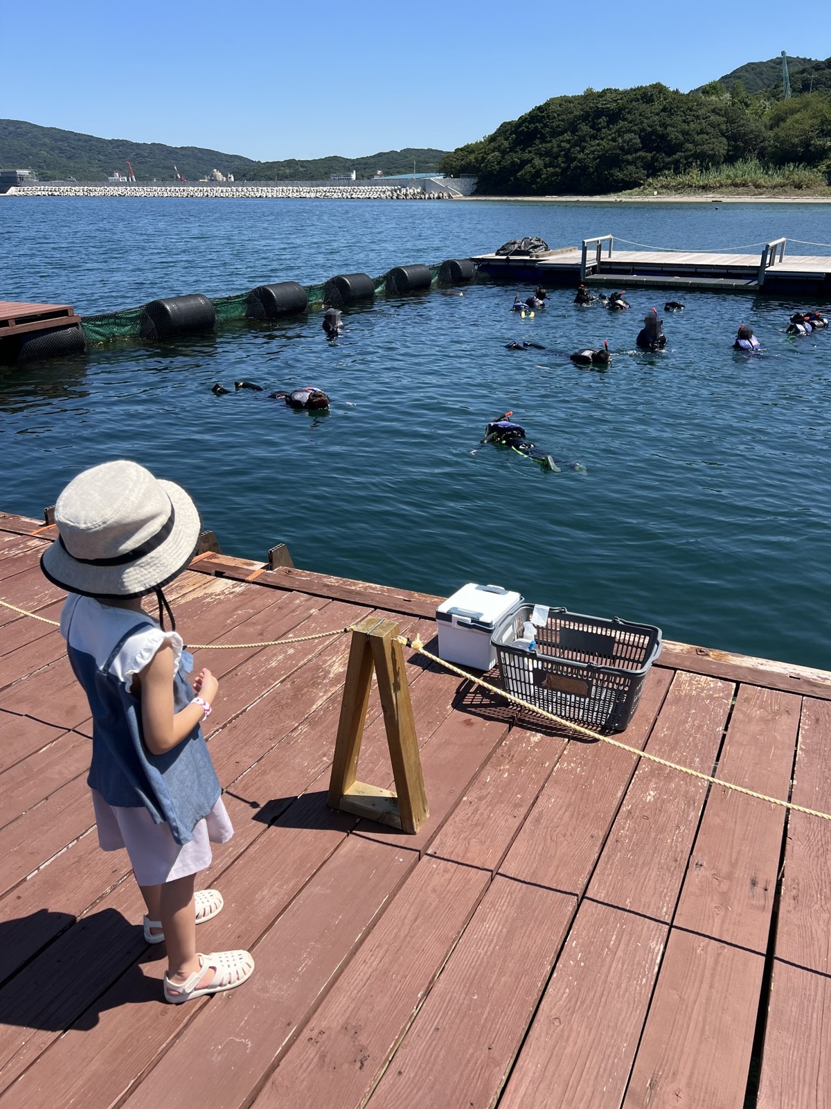 桟橋から見たいけすと体験の様子