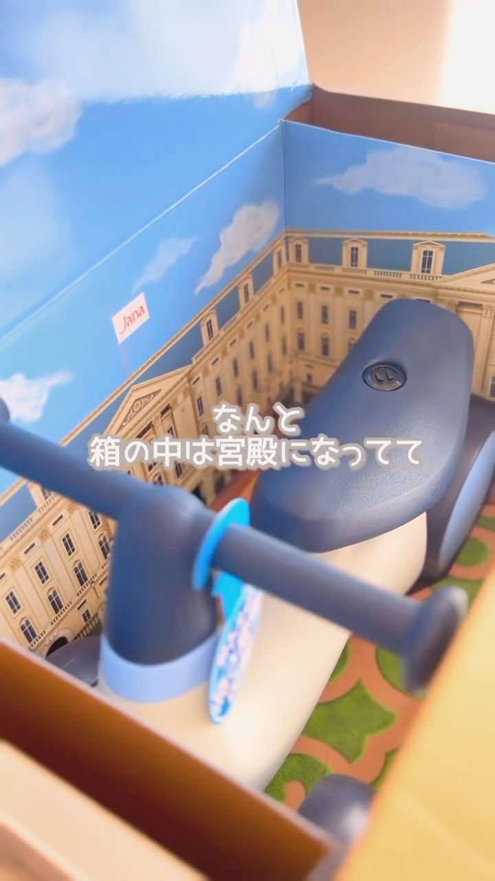 開くと宮殿の絵になる化粧箱の内側