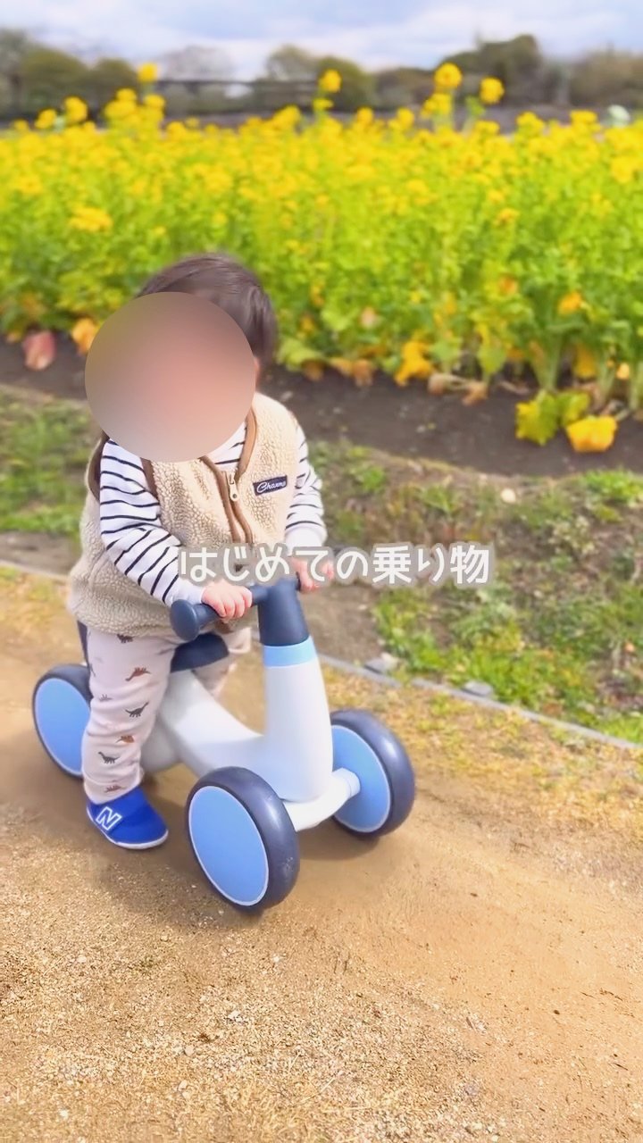 1歳の誕生日プレゼントに4輪車babrin(バブリン)を選んだ理由
