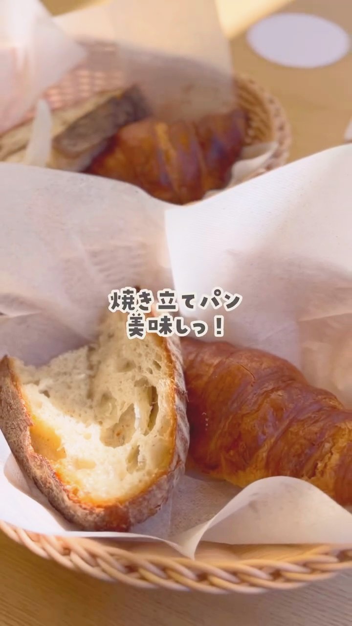 焼き立てのパン