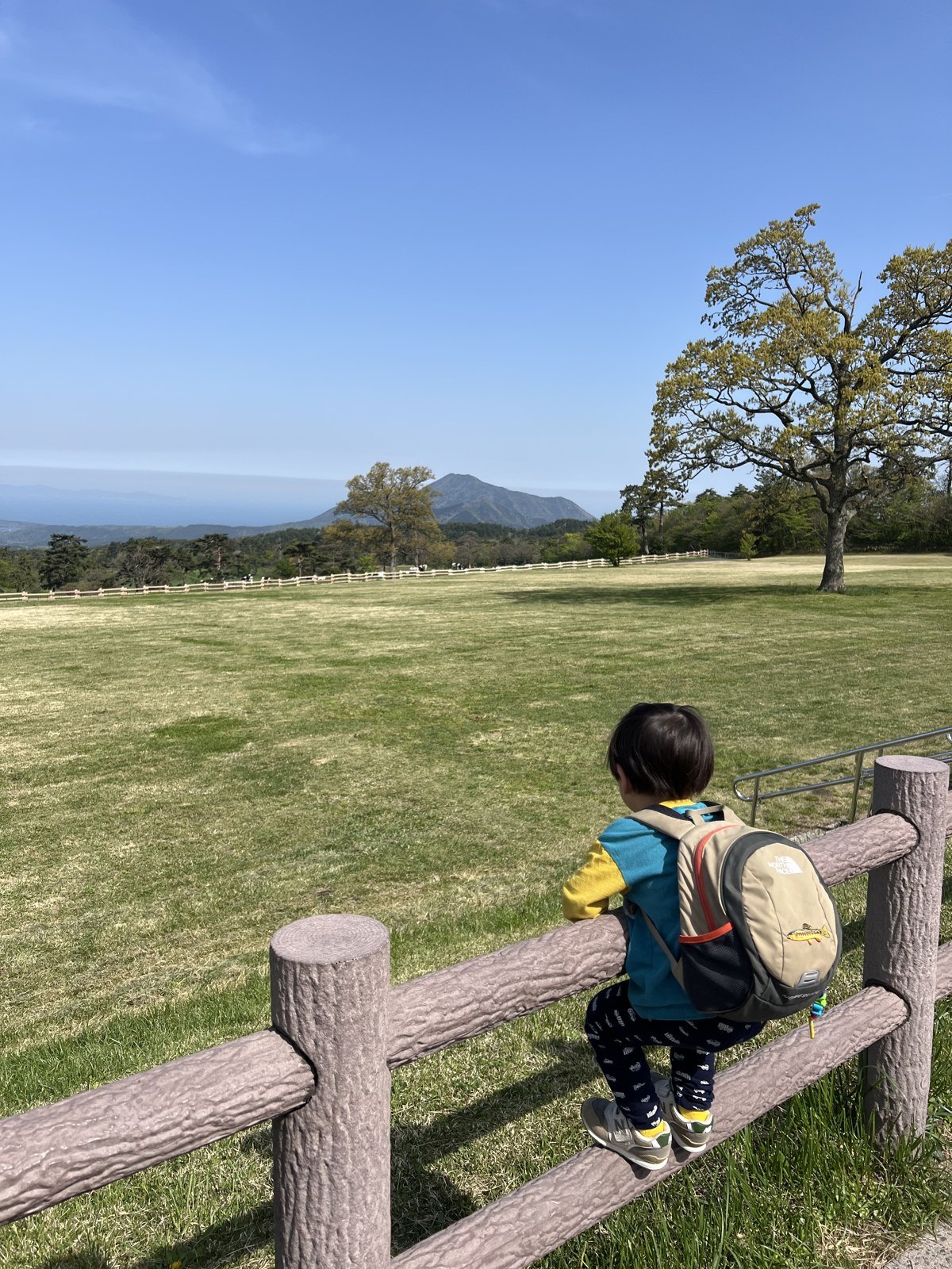 柵に腰かけて景色をながめる子ども