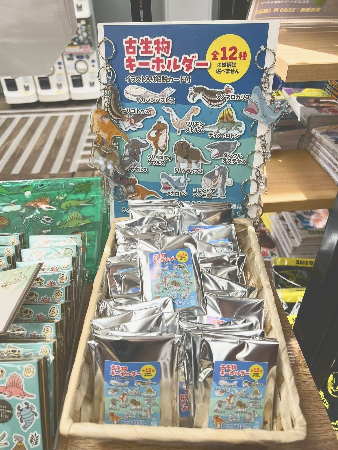 古生物キーホルダー 全12種