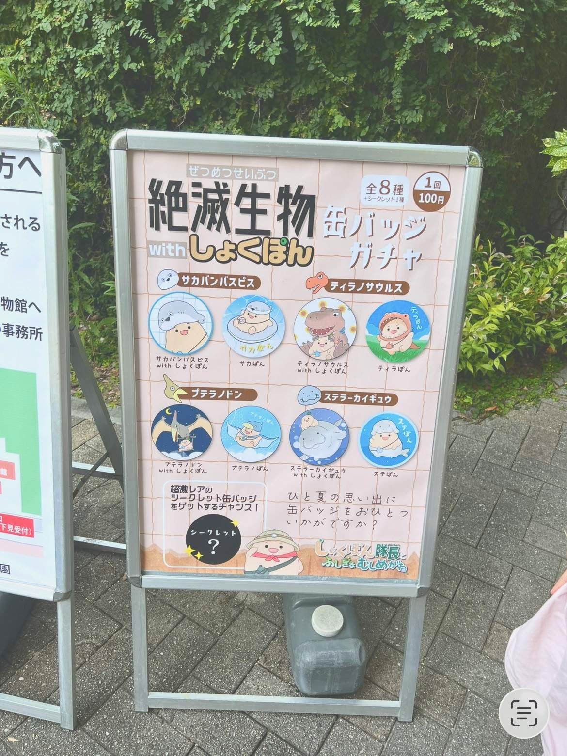絶滅生物 缶バッジガチャの案内看板