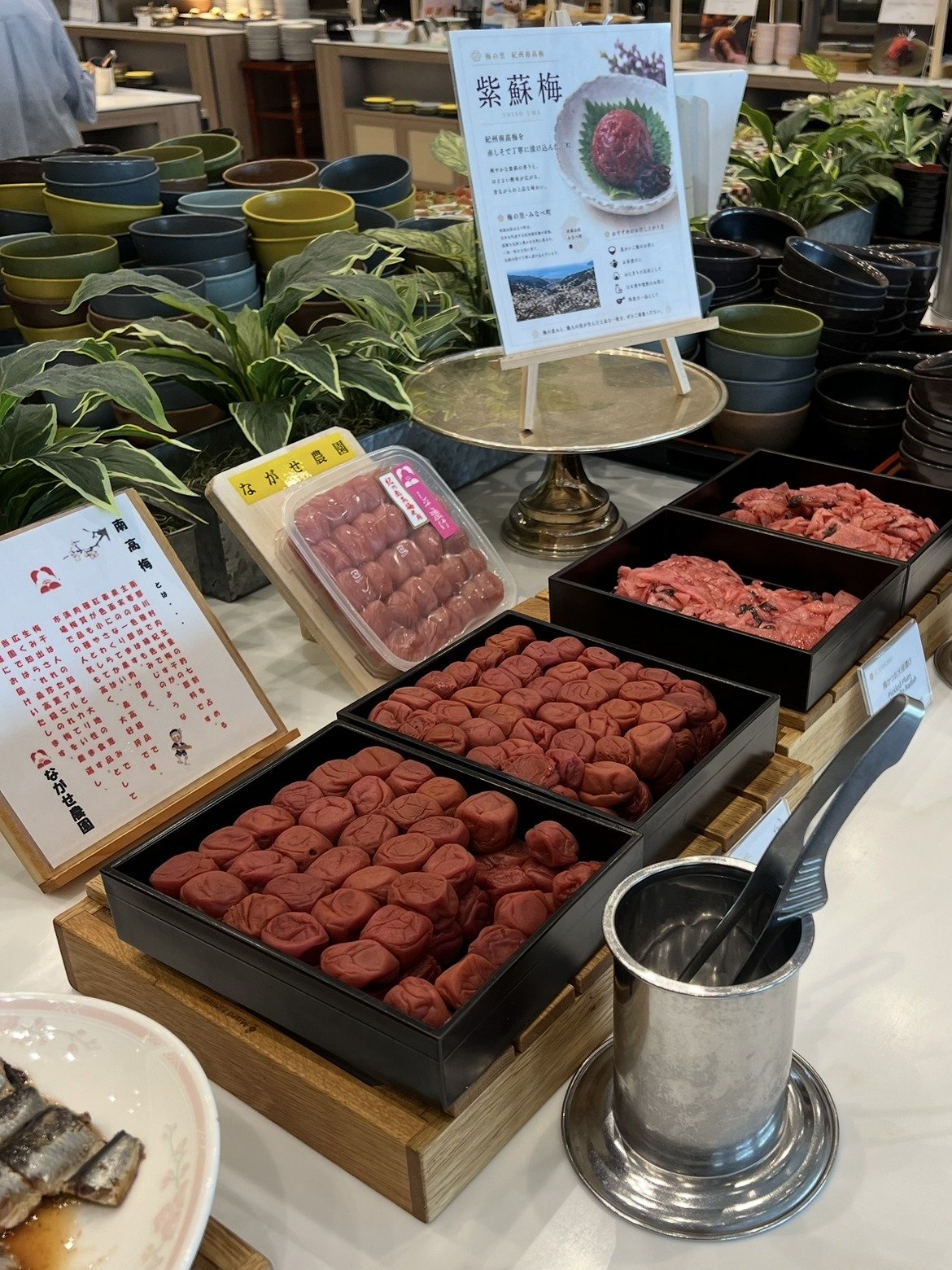 紀州南高梅と紫蘇梅の食べ比べコーナー
