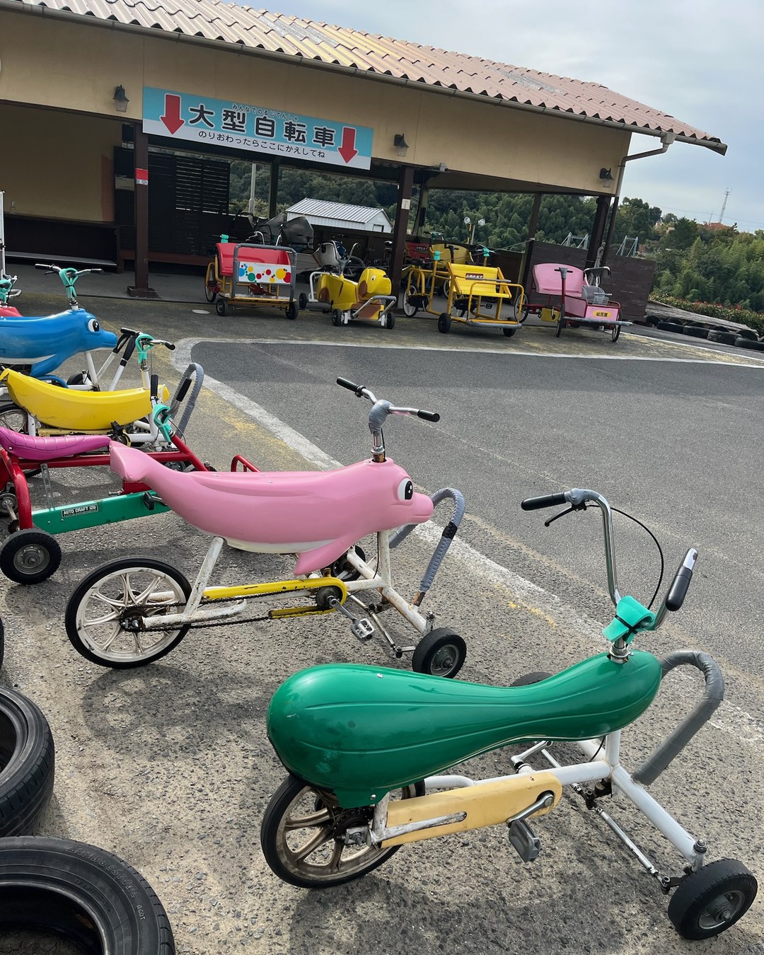 変わり種の大型自転車