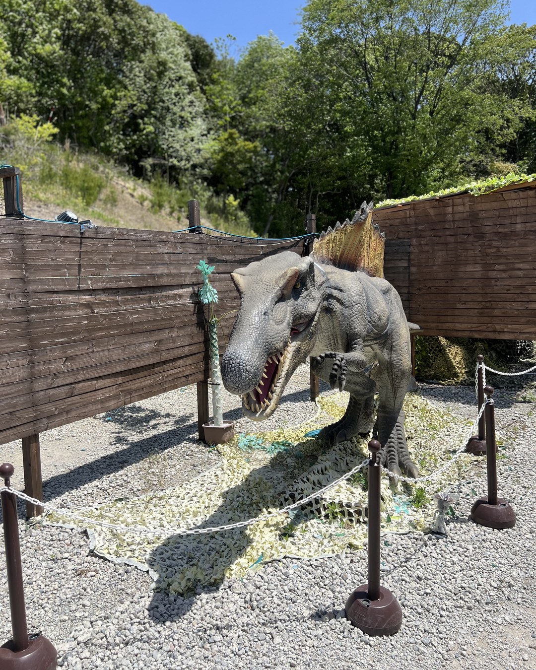 ティラノサウルスの頭