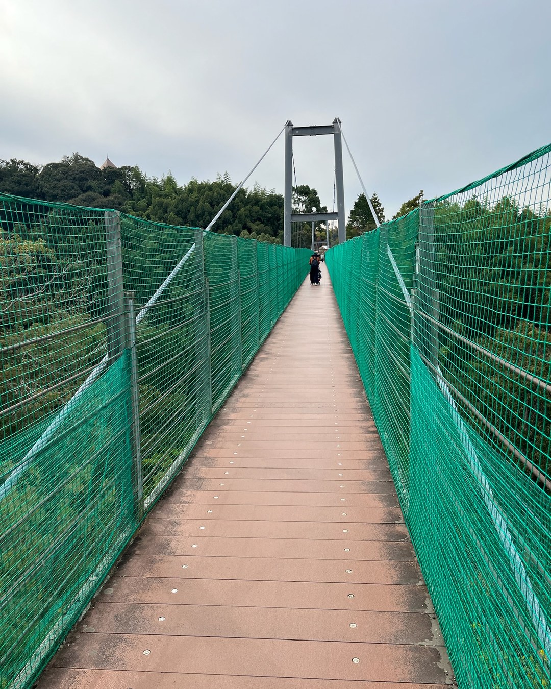 緑のネットで囲まれた吊り橋