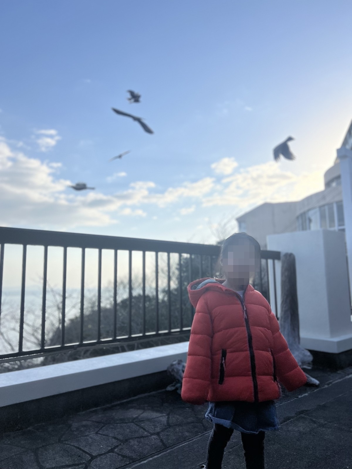 トンビが飛ぶ空を見上げる子ども