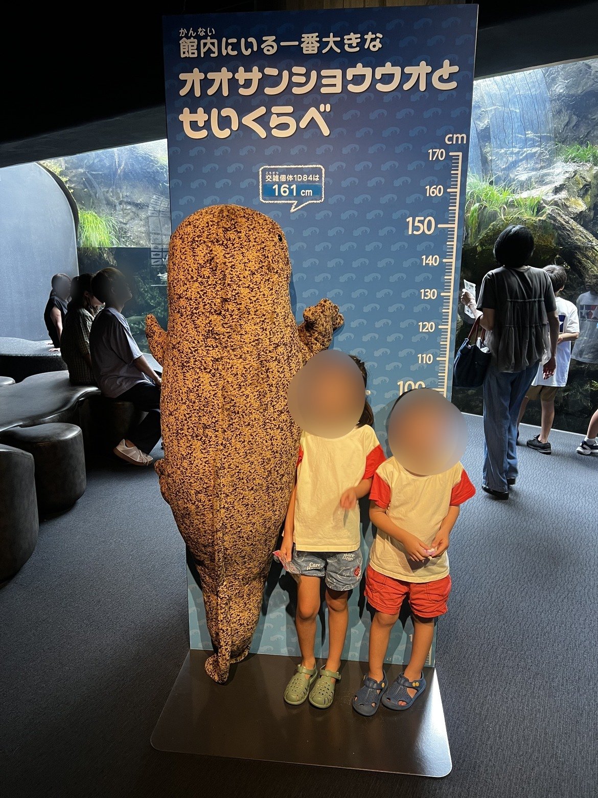 「オオサンショウウオとせいくらべ」のパネルに並ぶ子どもたち