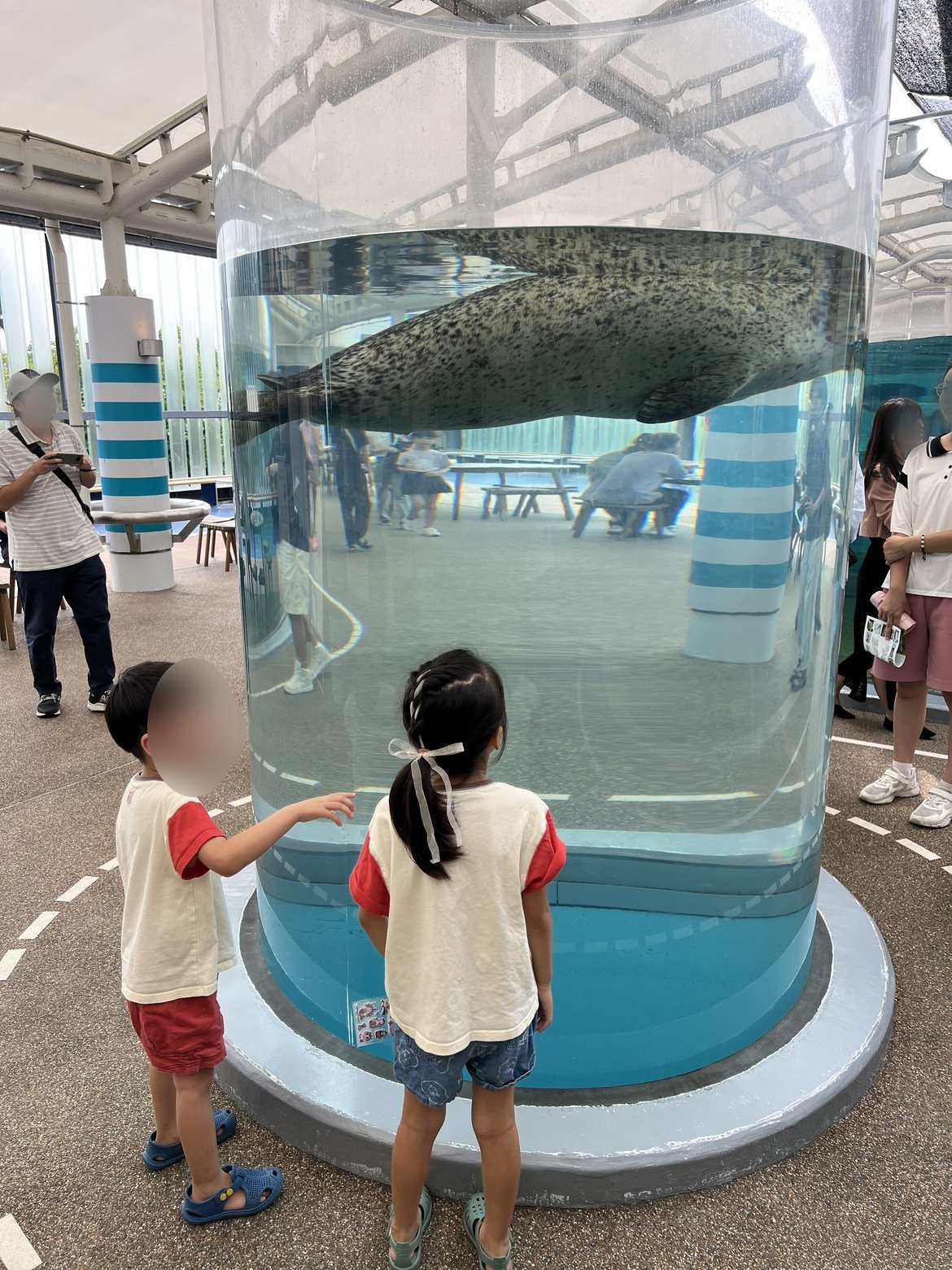 京都水族館は子連れで回りやすい？ベビーカーのまま見られる水族館に行ってきた
