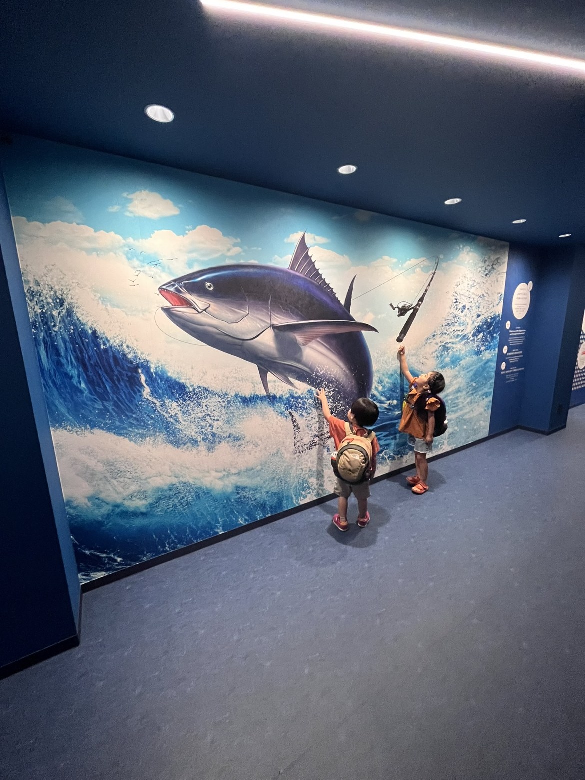 壁一面のマグロの絵に手をのばす子どもたち