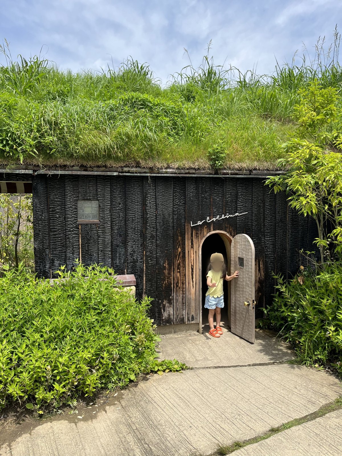 草の屋根の小屋にある小さなドア