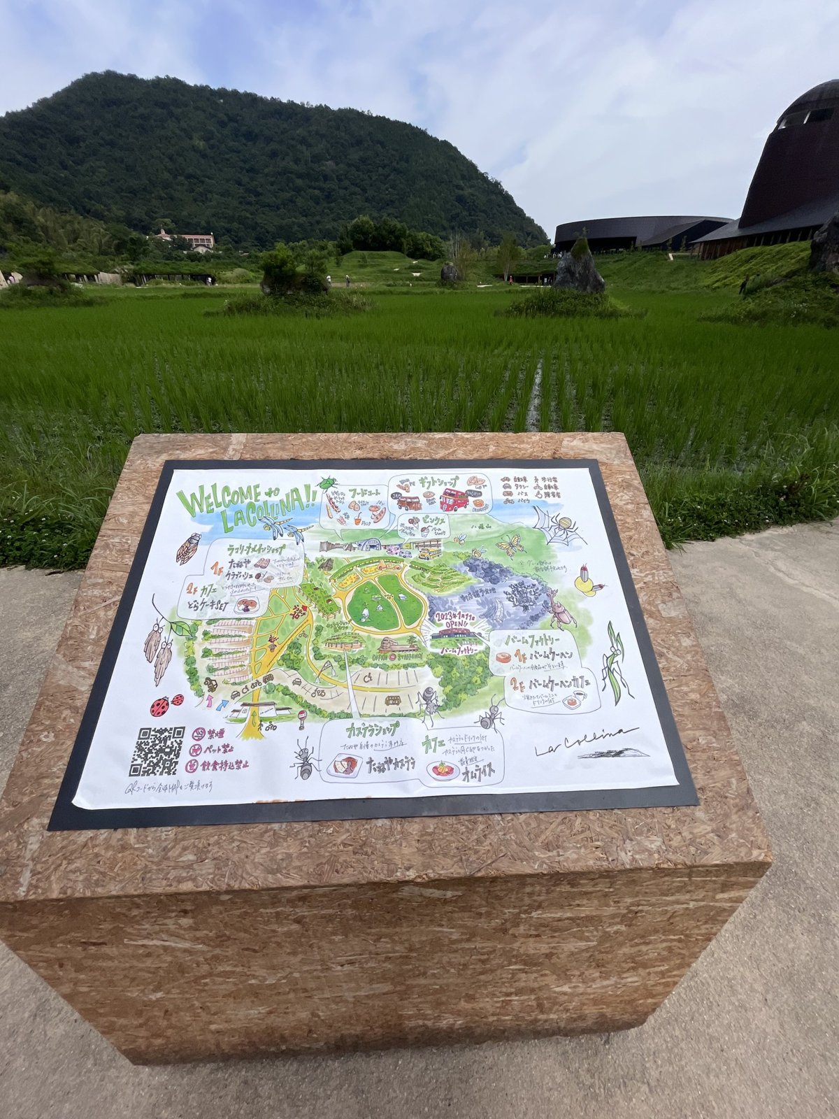 手描きの園内マップと、奥に広がる田んぼ