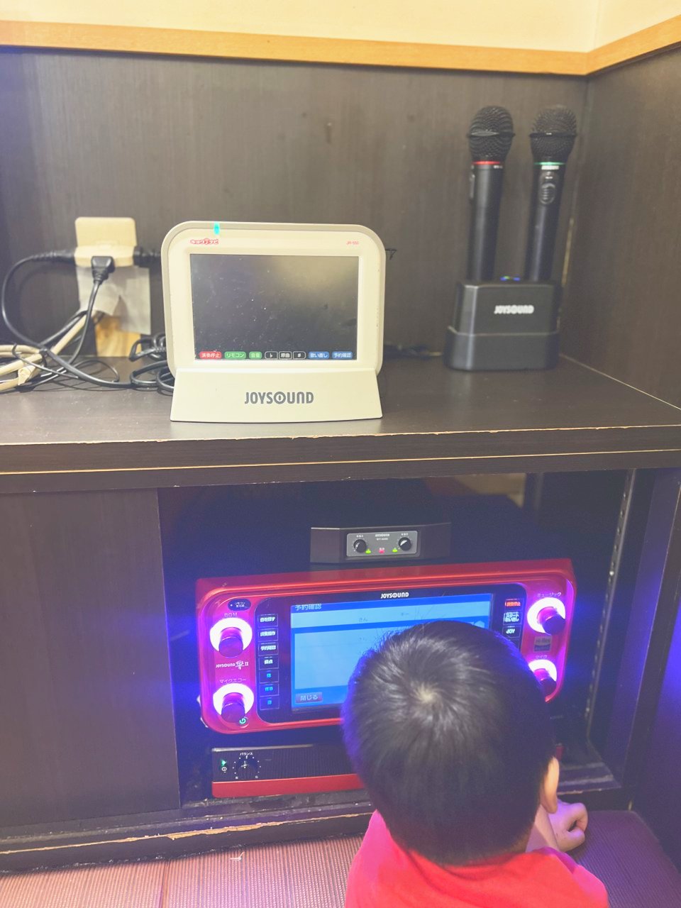 カラオケの機械とマイク