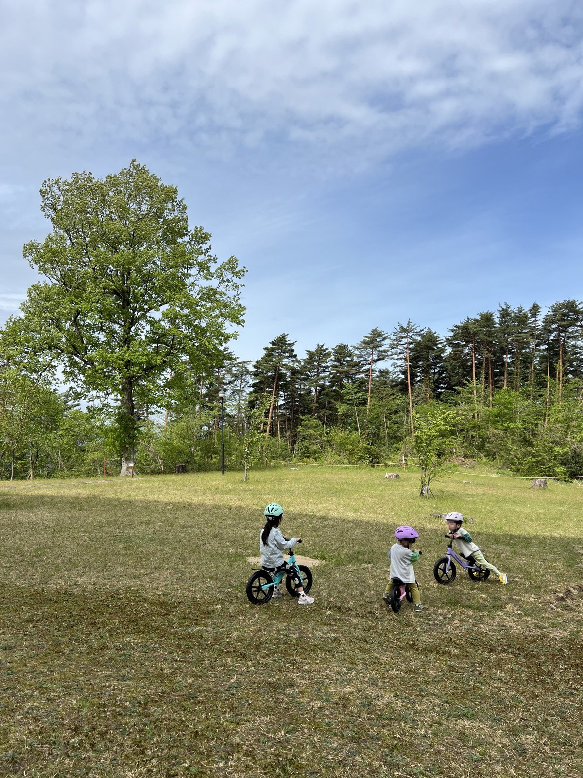 芝生の広場でストライダーに乗る子どもたち