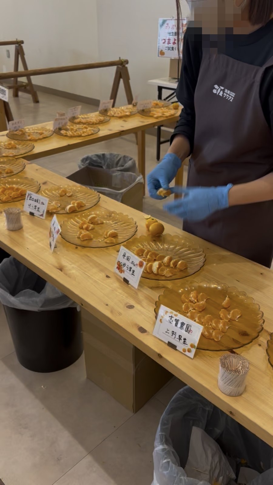 農園ごとに分けて並べられた、みかんの試食コーナー