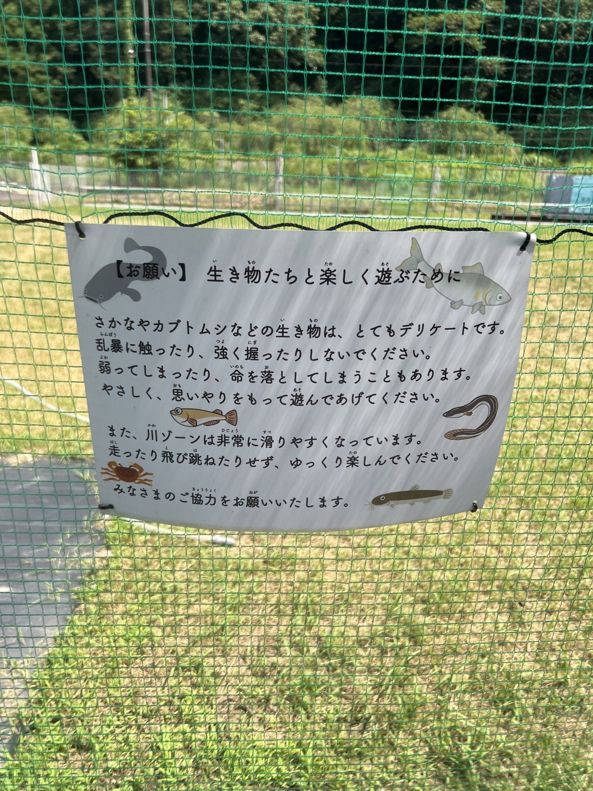「川ゾーン」の生き物についてのお願いの看板