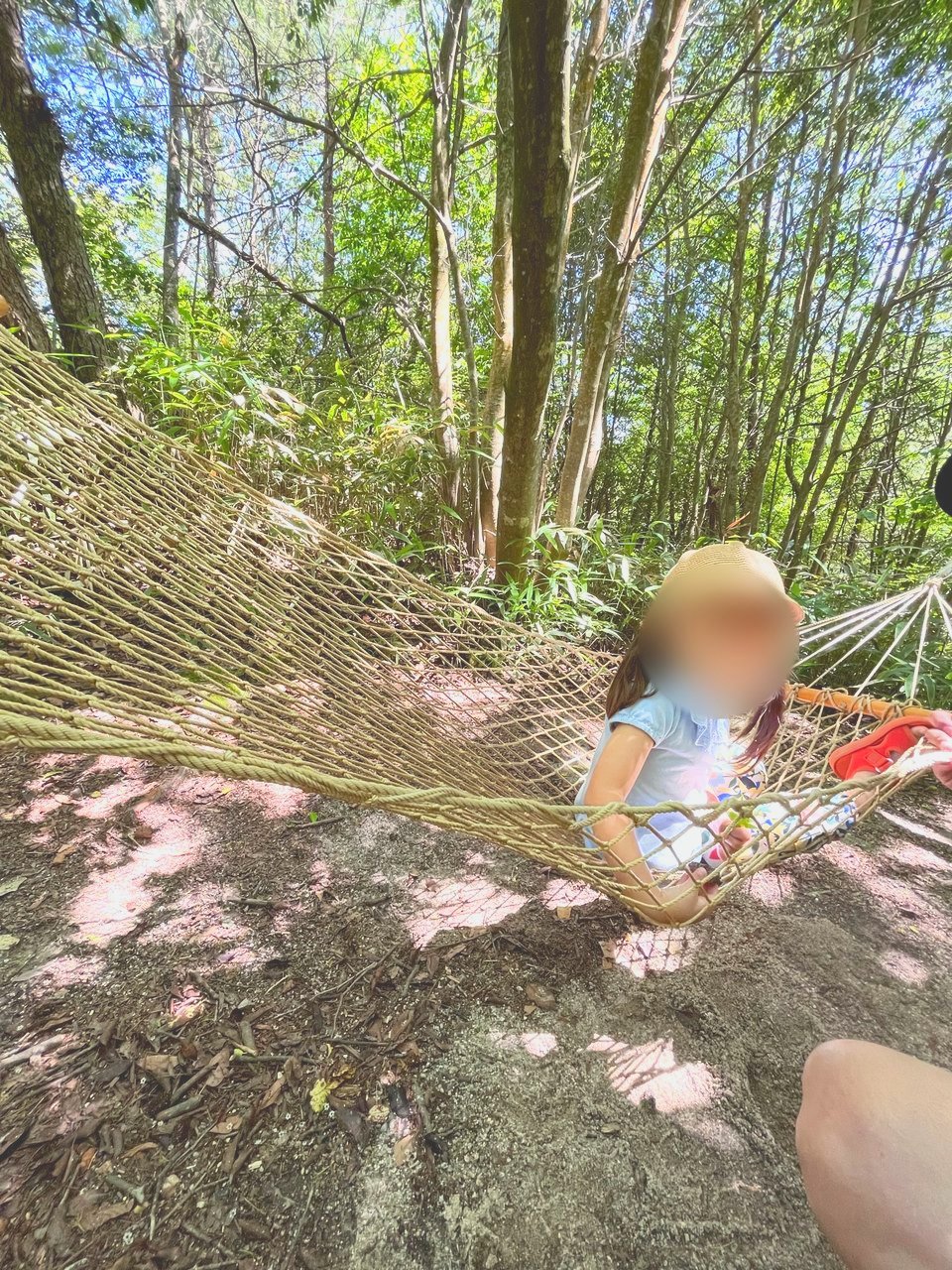 林の中のハンモックに乗る子ども