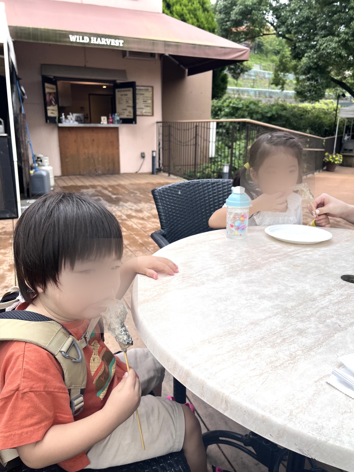 串に刺さった塩焼きの魚を食べる子ども