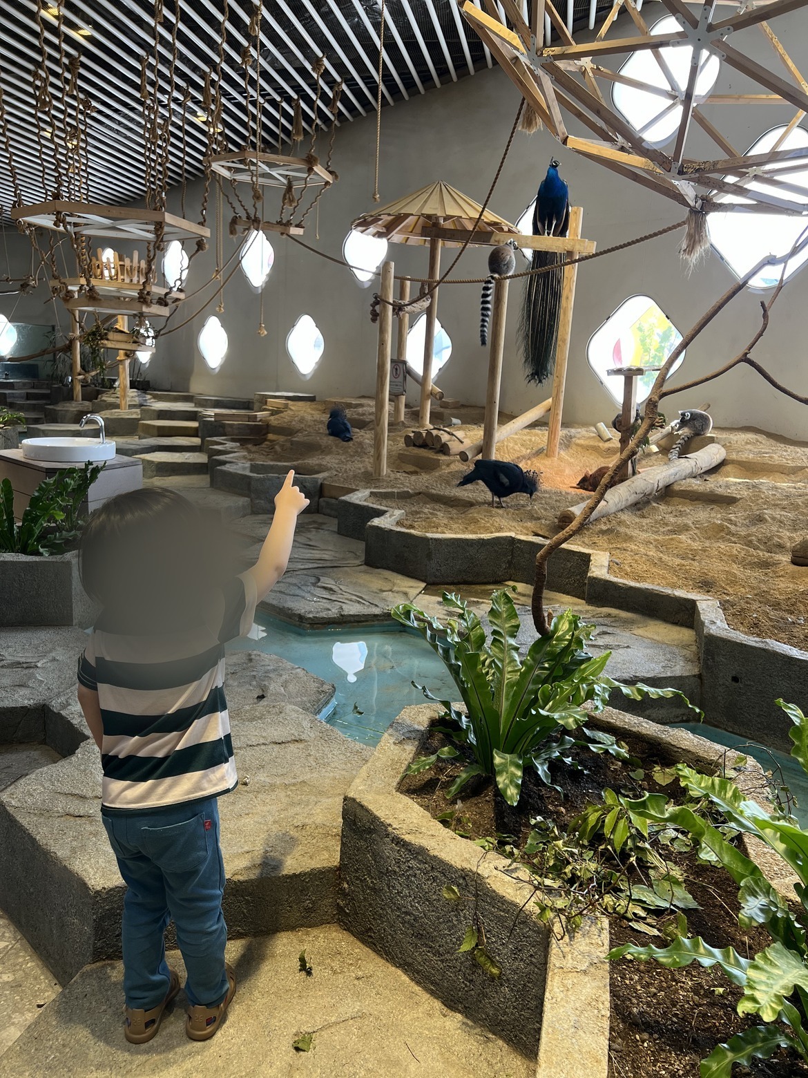 ニフレル(EXPOCITY)は子連れで行きやすい？生きものとの距離が近い体験型ミュージアム