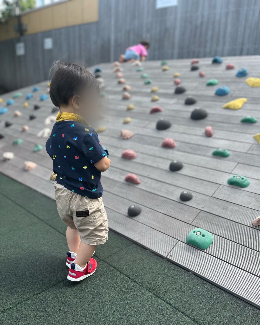はらっぱ広場のクライミングウォール