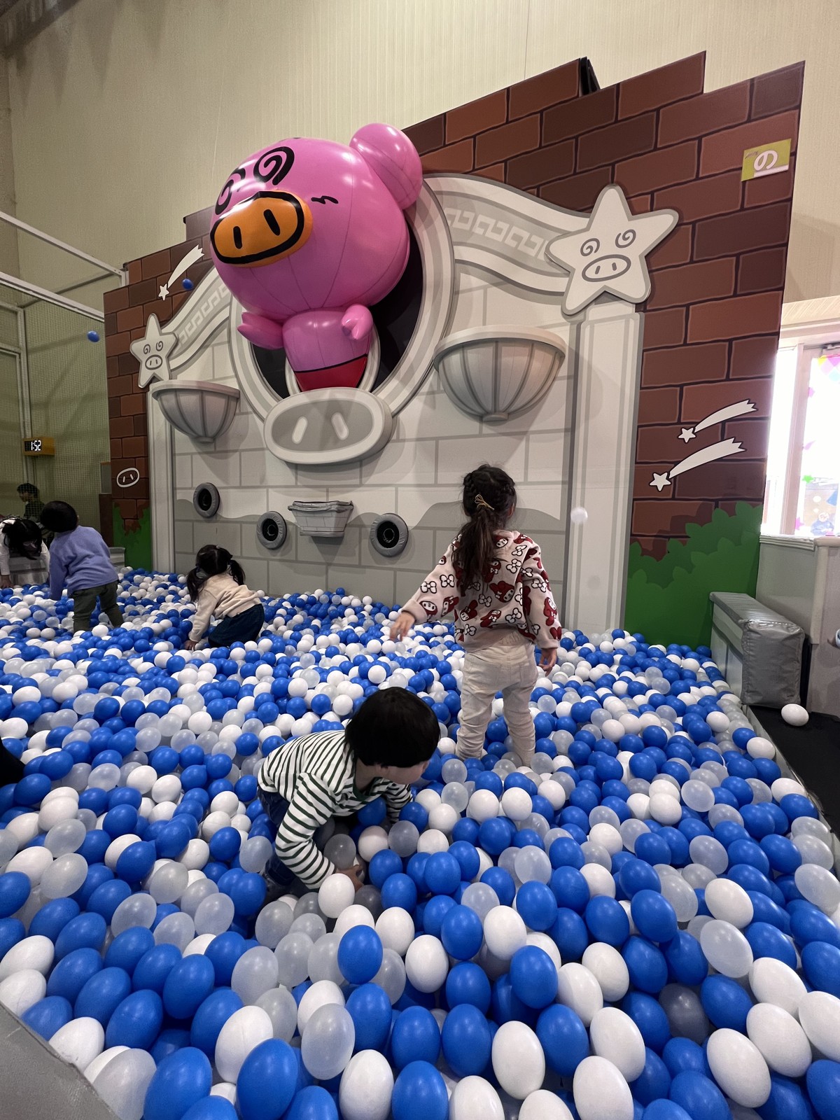 青と白のボールプール
