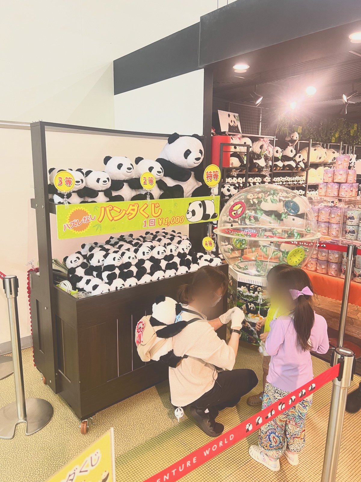 パンダのぬいぐるみが並ぶショップ