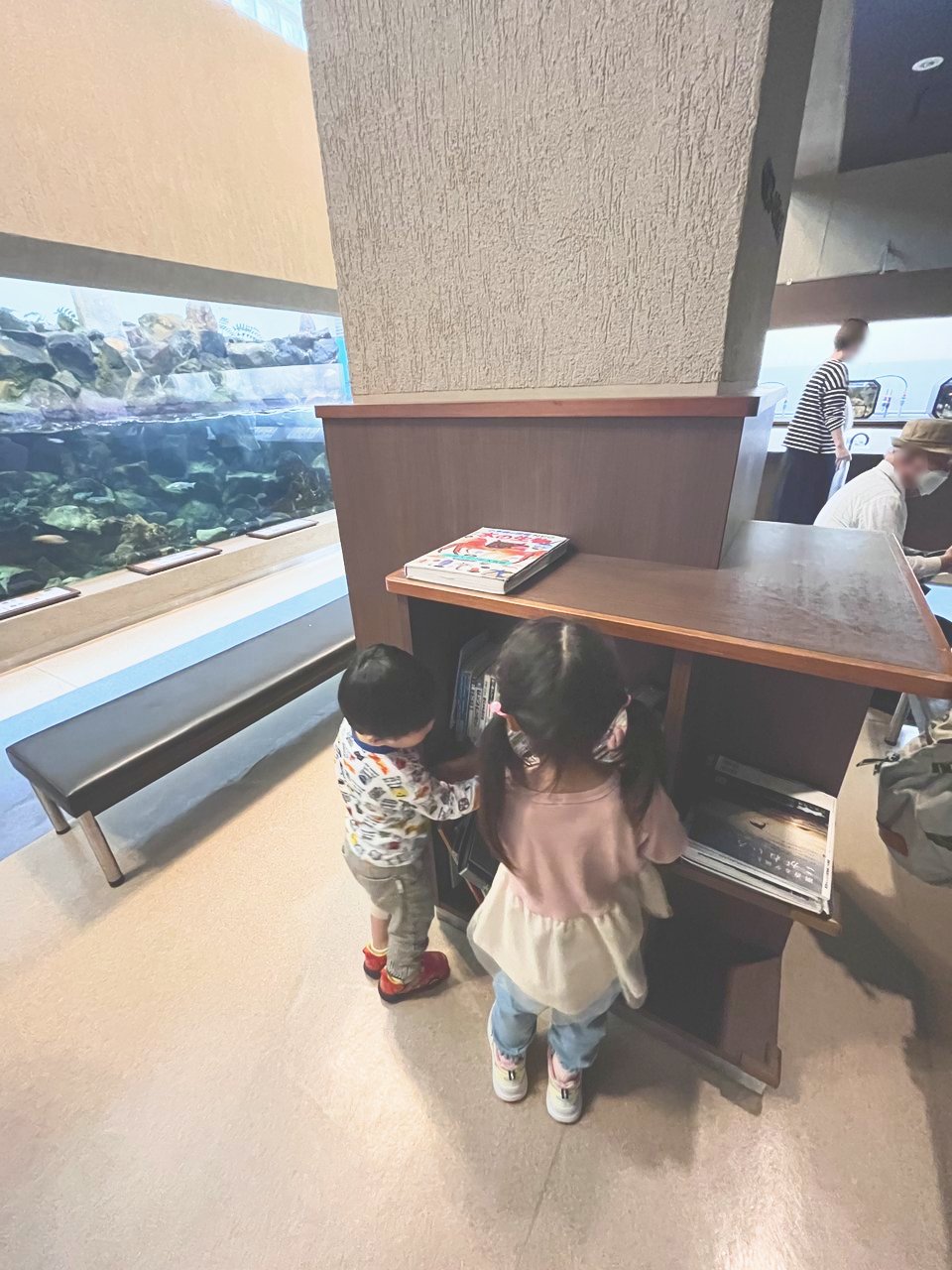 水槽の前の台をのぞく子どもたち