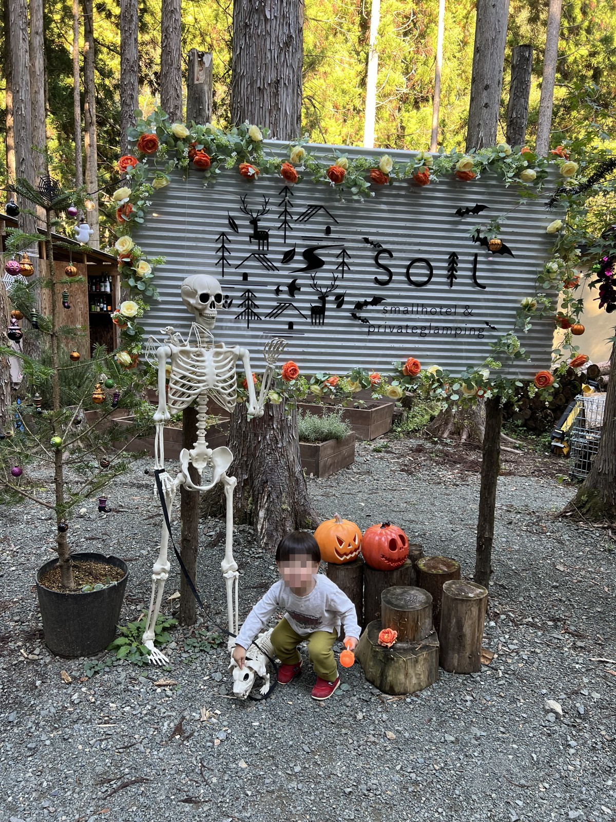 「SOIL」の看板。訪問時はハロウィンの飾りつけがされていた