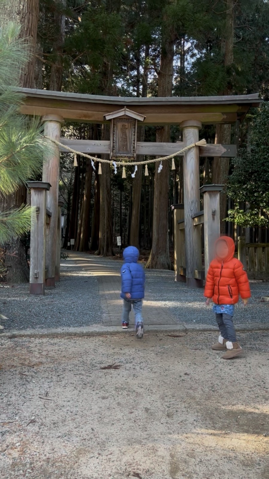 青玉神社の鳥居をくぐる子どもたち