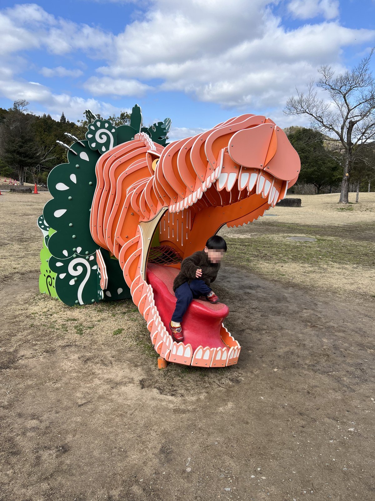 口を開けた恐竜の、口の中がすべり台になっている遊具