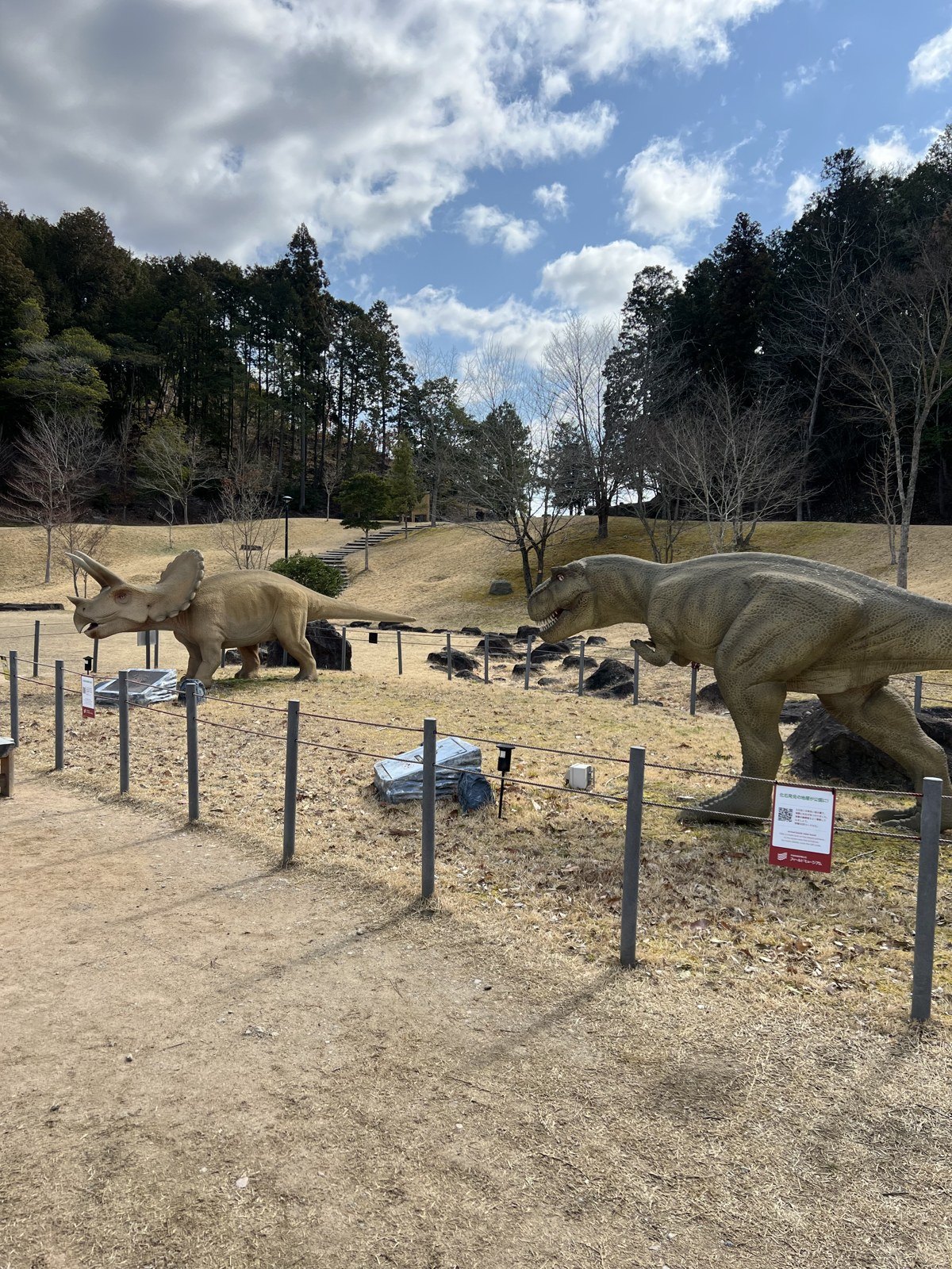 柵の向こうにいるトリケラトプスとティラノサウルス