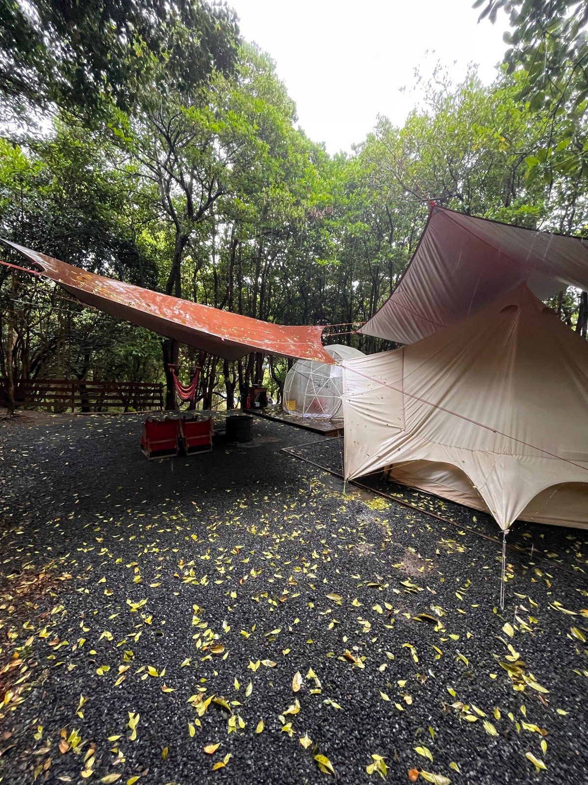雨のタープの下から見たテントサイト