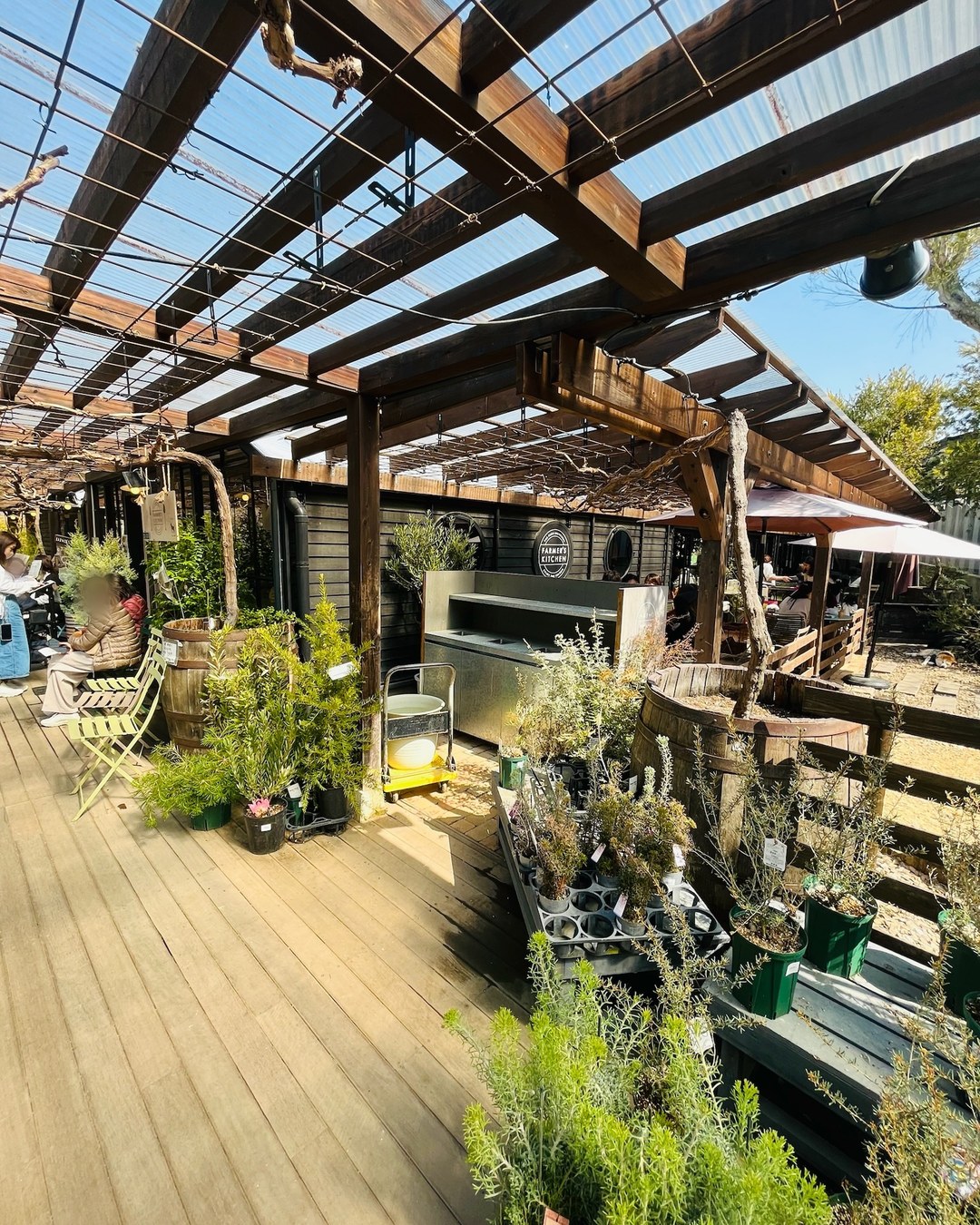 ぶどう棚の下に広がるFARMER'S KITCHENのテラス席