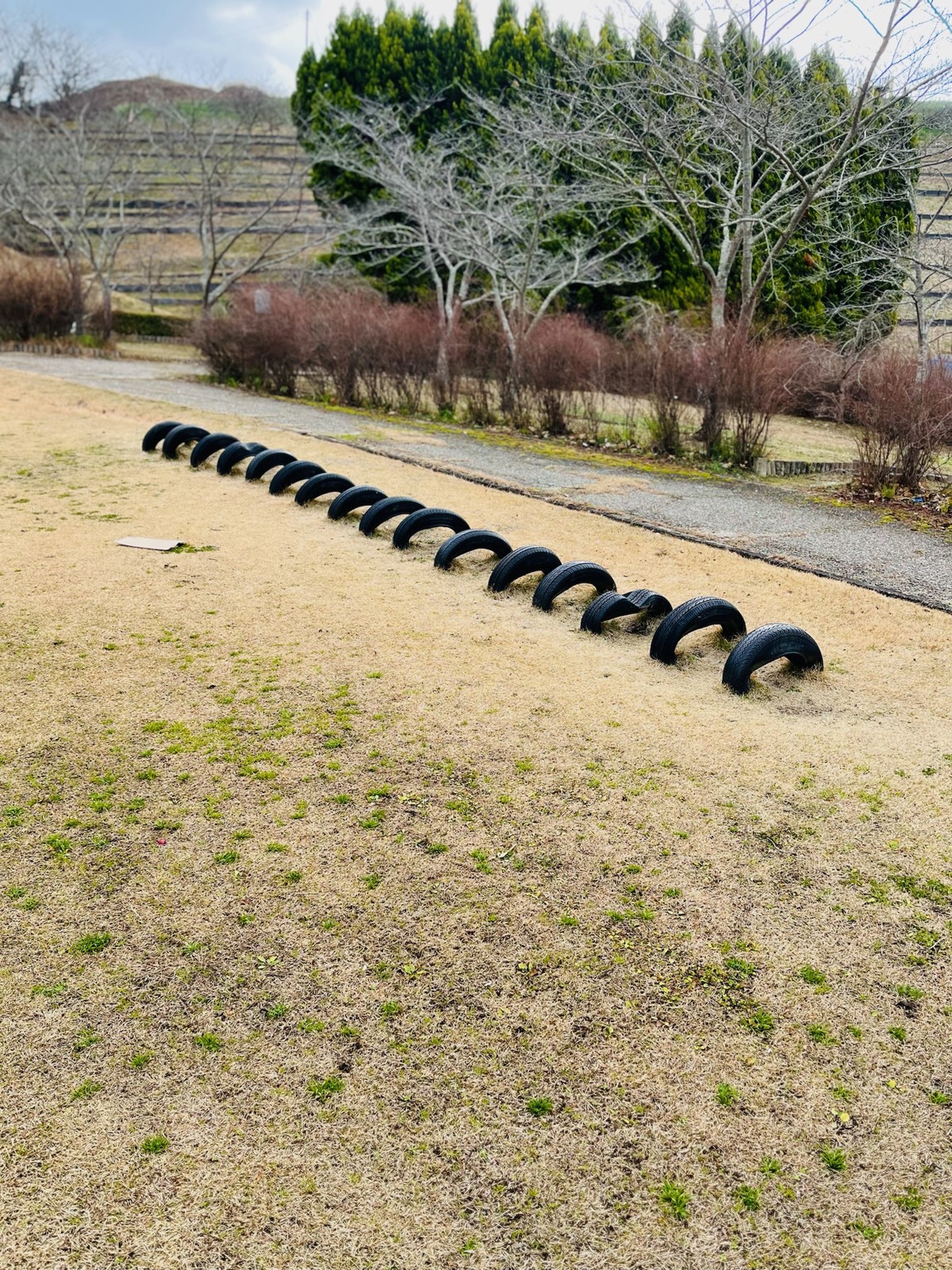 芝生に並ぶタイヤの列