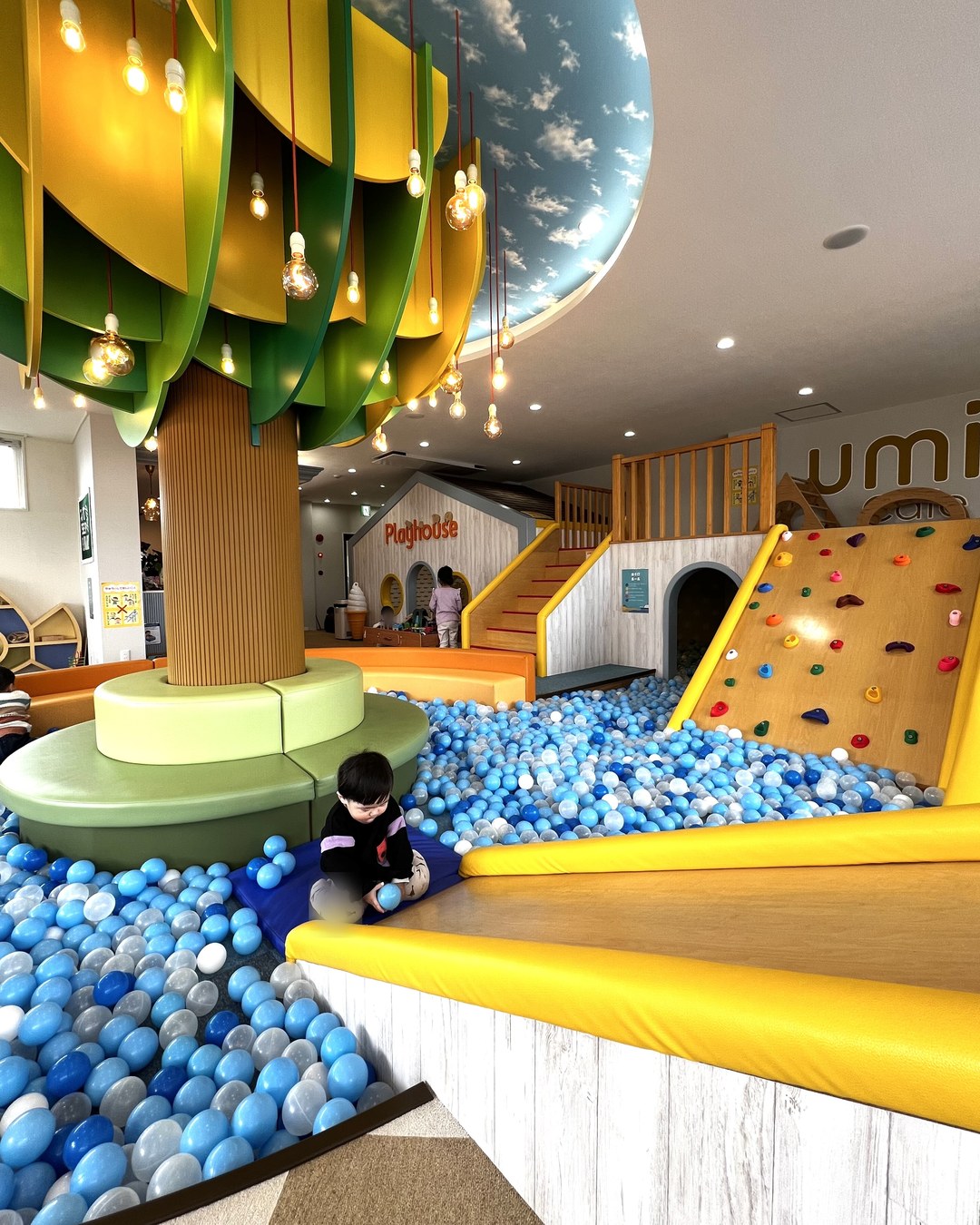 青いボールプールとクライミングウォール、Playhouse